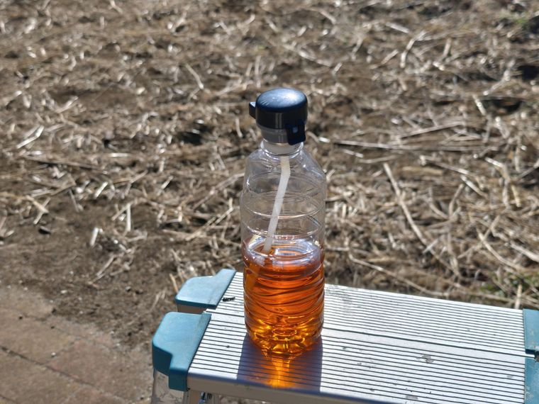 アニマル ペットボトルキャップをつけたペットボトルでピクニックしている様子