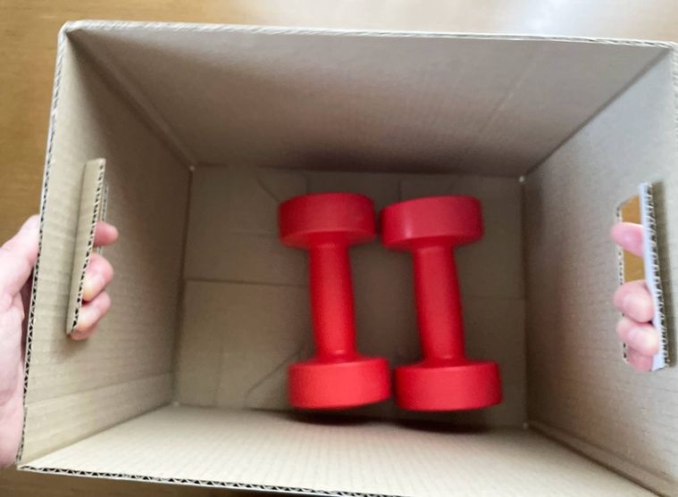 ダンベルを入れた段ボールを持ち上げてみた