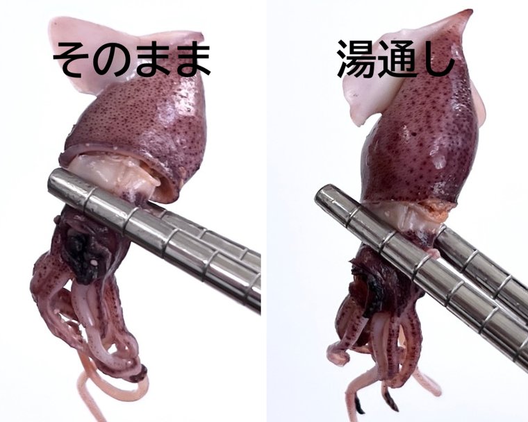 箸で持ち上げたボイルほたるいかのコラージュ画像
