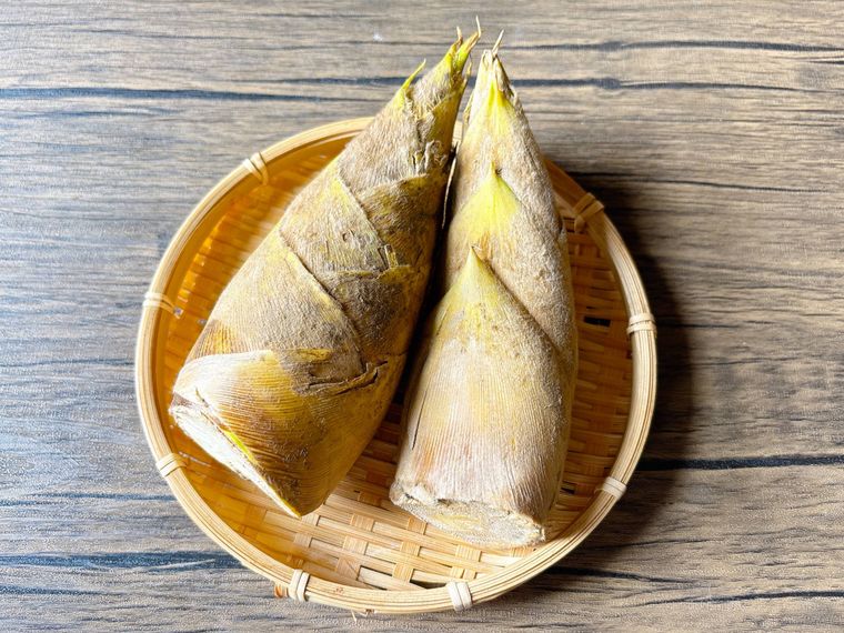 ザルに盛られたたけのこ2本