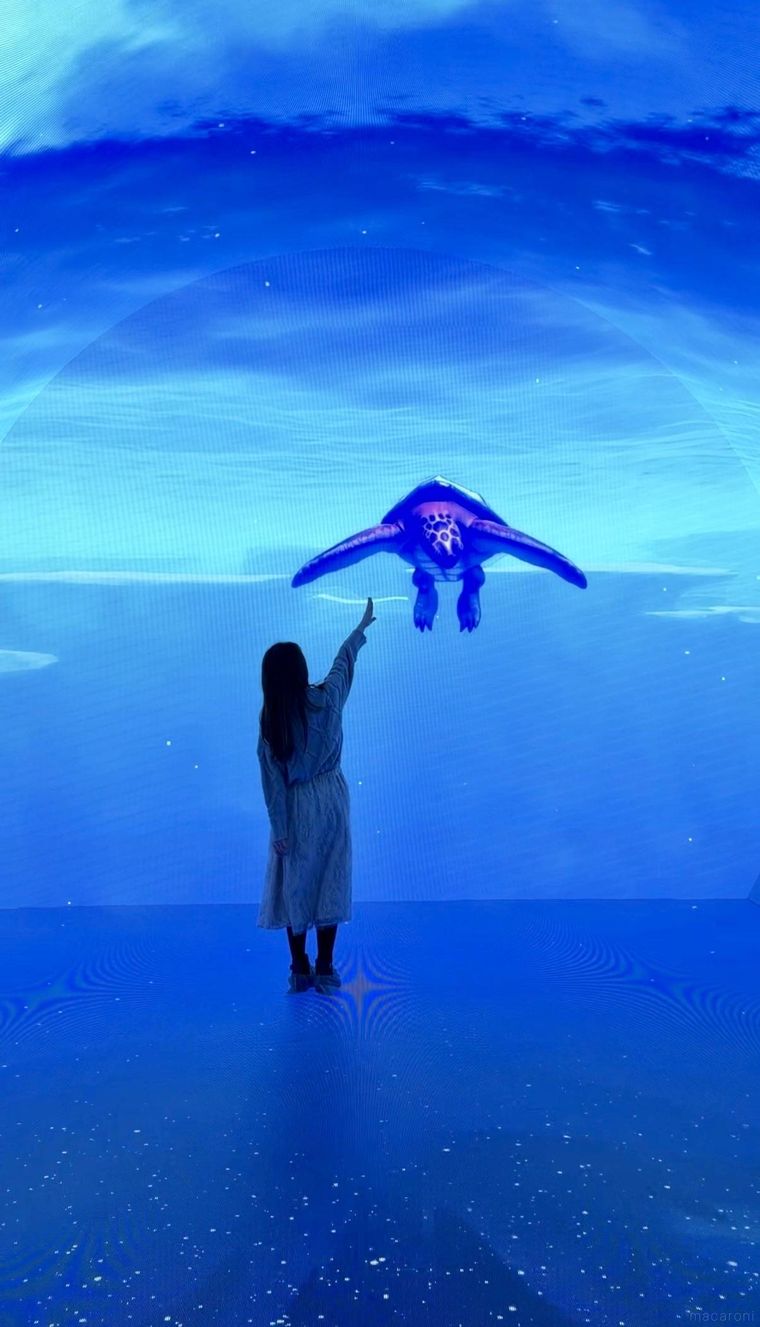 設ワンダリア横浜 Supported by Umiosのゾーン2ダイブ・トゥ・ブルー