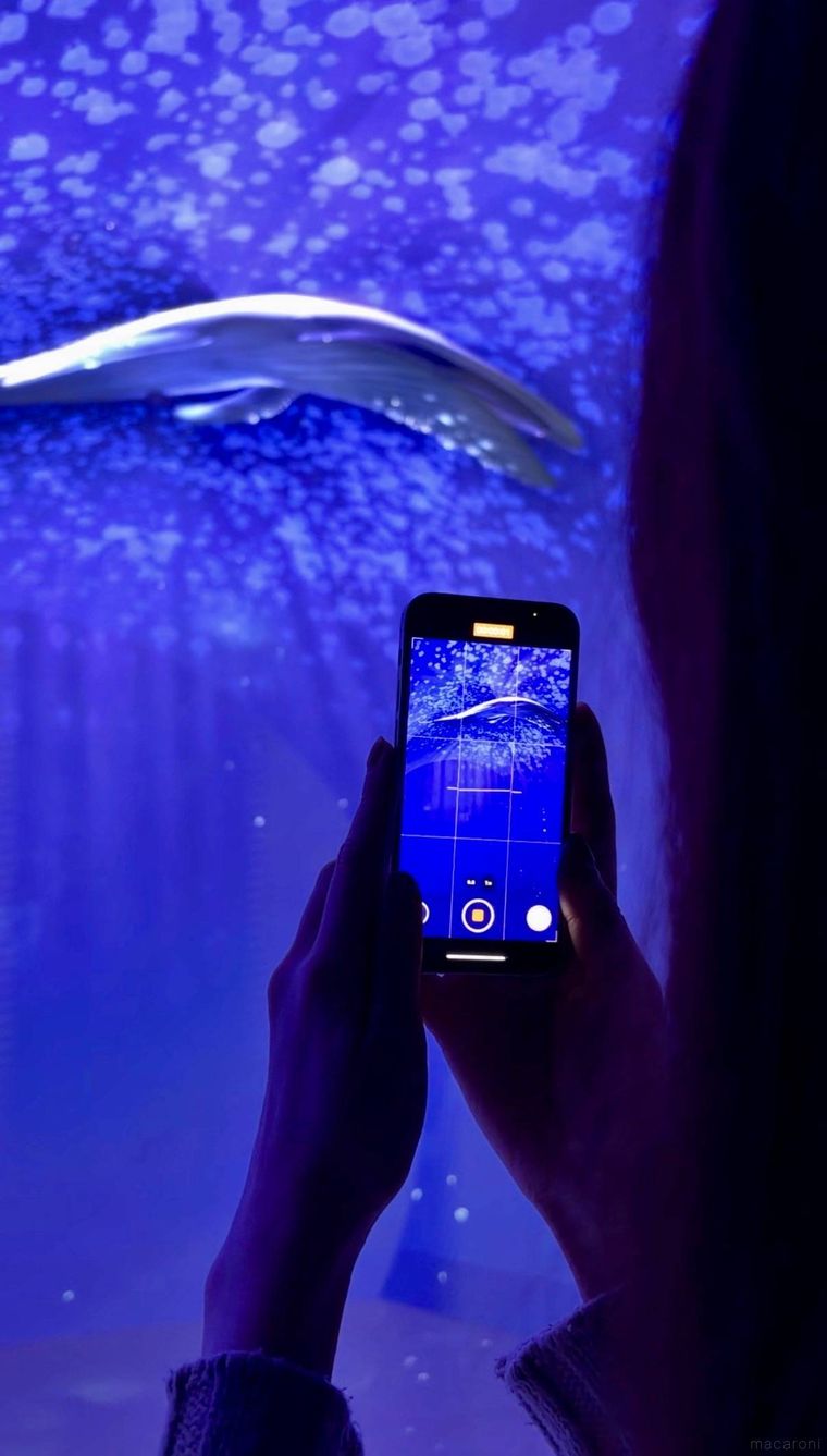 設ワンダリア横浜 Supported by Umiosのゾーン2ダイブ・トゥ・ブルー