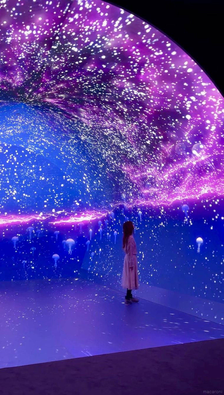 ワンダリア横浜 Supported by Umiosのゾーン2ダイブ・トゥ・ブルー