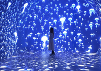 最新スポットワンダリア横浜を一部先行レポ日本最大級のLEDイマーシブトンネルと限定フードを体験