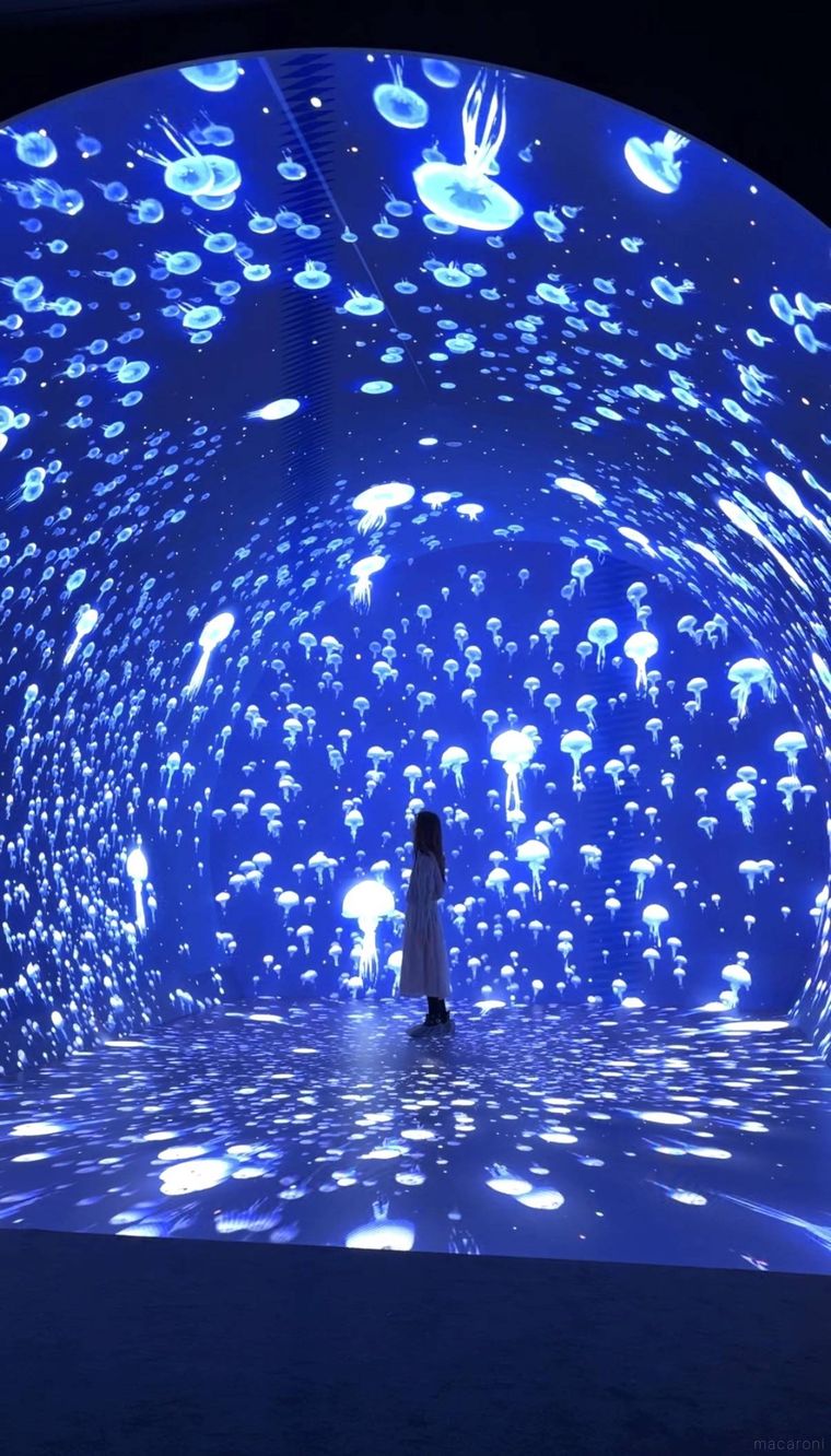 設ワンダリア横浜 Supported by Umiosのゾーン2ダイブ・トゥ・ブルー