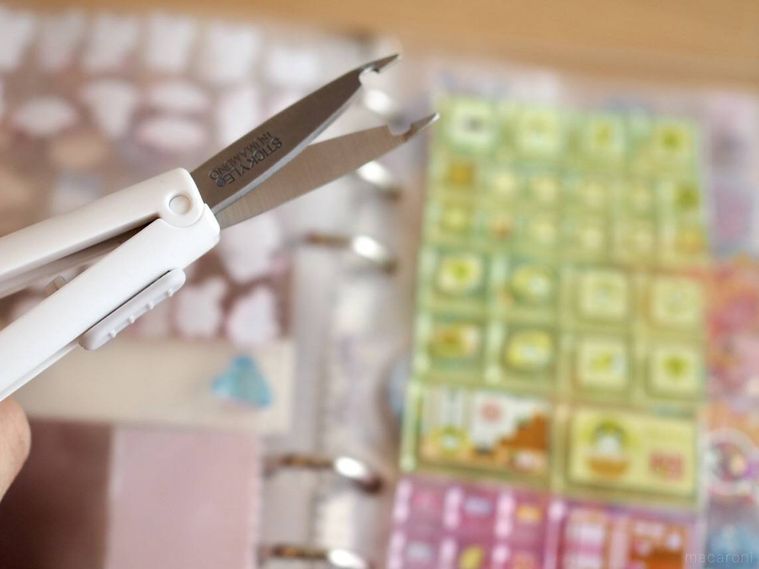 スティッキールはさみ