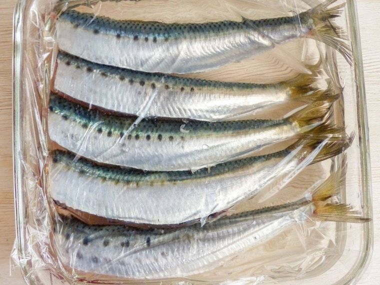 いわしを塩水に浸けてラップをした様子