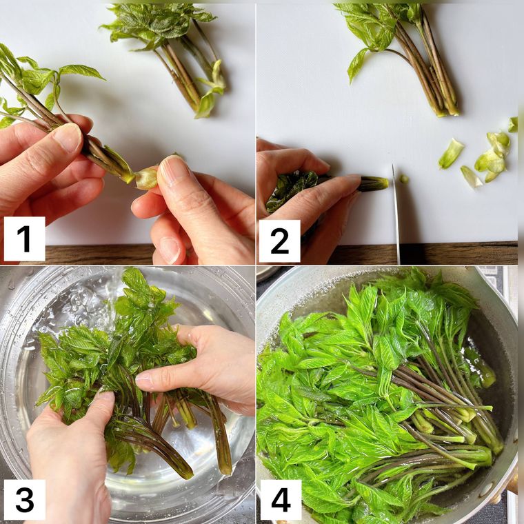 コシアブラの下処理