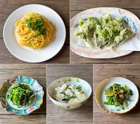 山菜コシアブラの絶品レシピ5選天ぷらだけじゃない食べ方と下処理のコツ