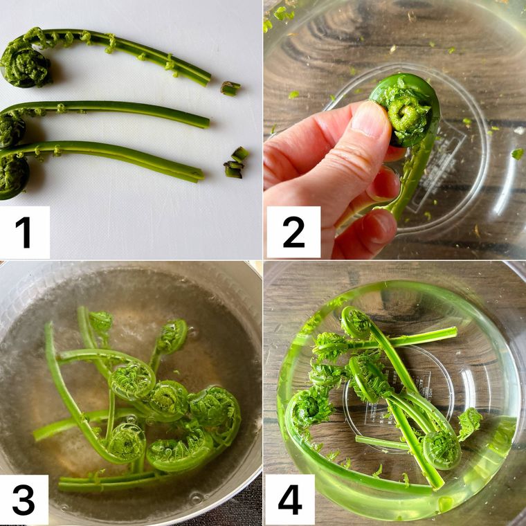 こごみの下処理