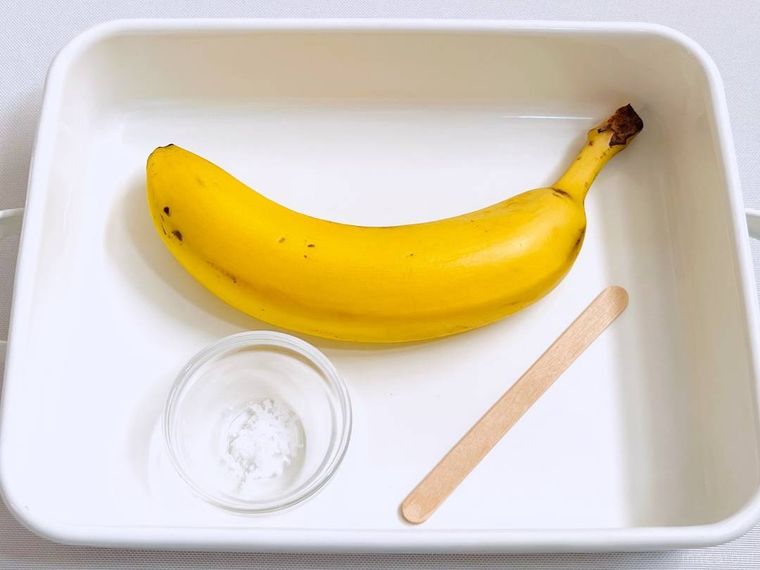 バナナ、塩、アイスの棒をバットに並べた様子