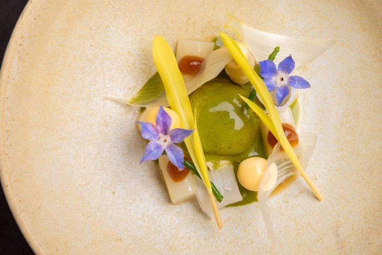 春の芽吹きを五感で味わう、イノベーティブな食体験2