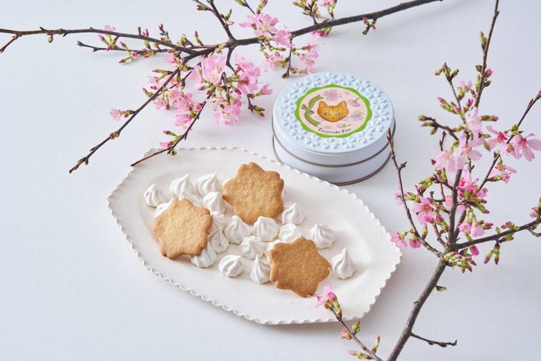 2. プチカドーサクラ