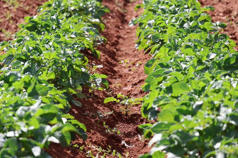 ブランドプロフィール4