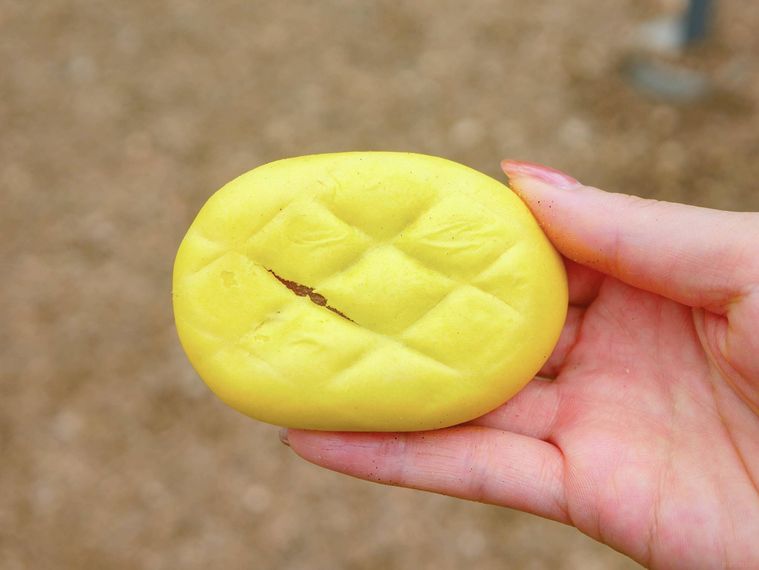 パイナップルパン