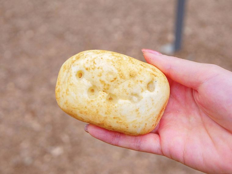 じゃがいもパン