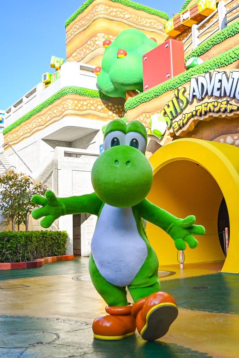 ヨッシーのアップ