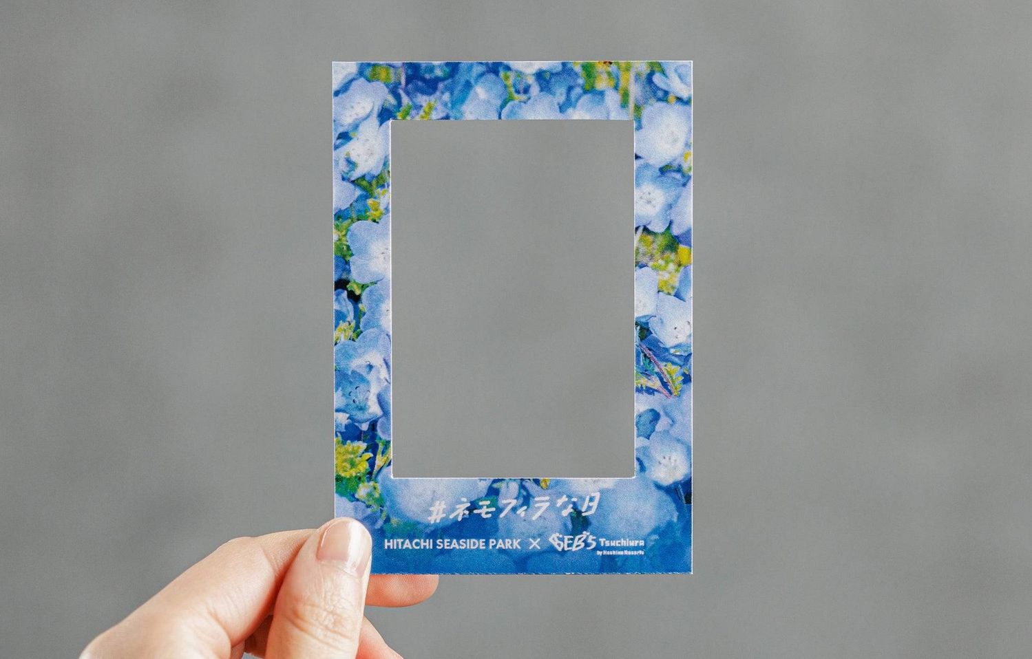 4. コラボフォトフレームで自分だけのネモフィラな日を切り取れる