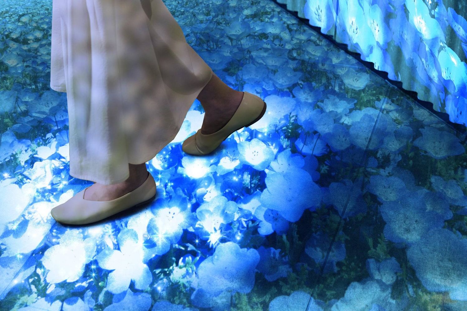 1. 国営ひたち海浜公園のネモフィラをホテルでも体感できるプロジェクションマッピング