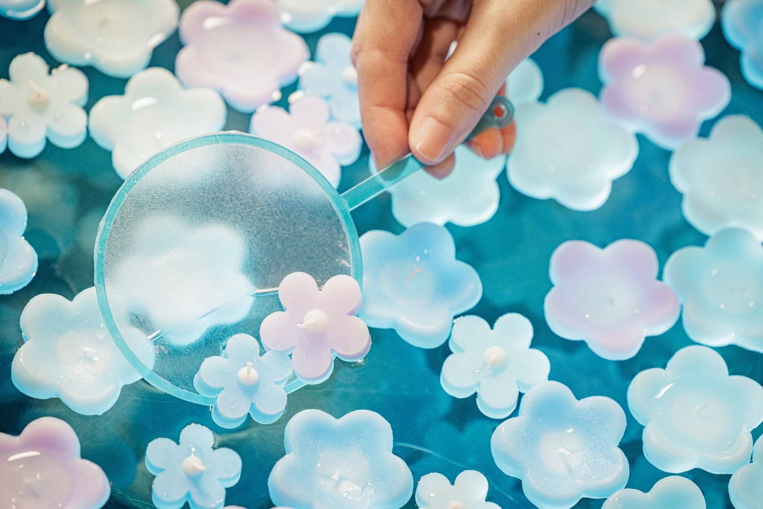 3. ネモフィラのキャンドルすくいにチャレンジ