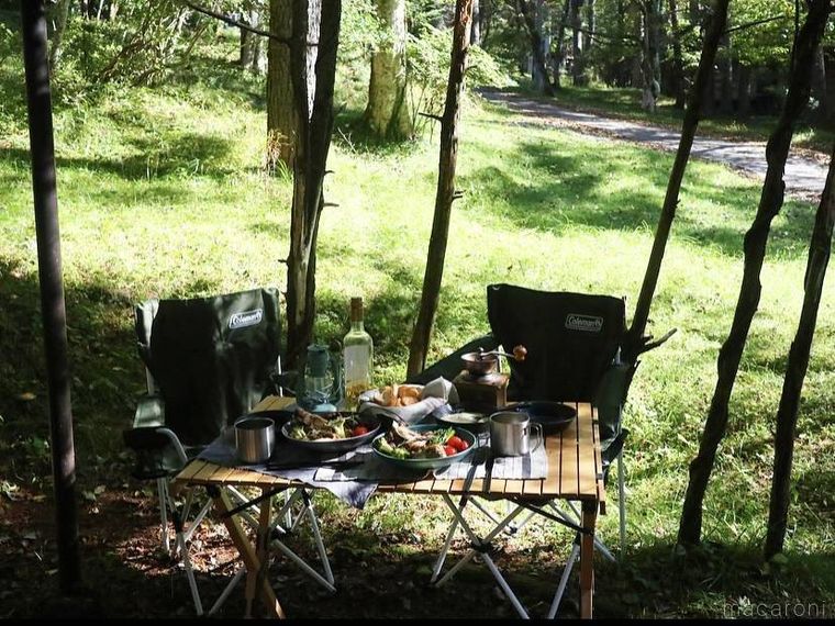 料理が並べられた机、椅子が森の中に置かれている