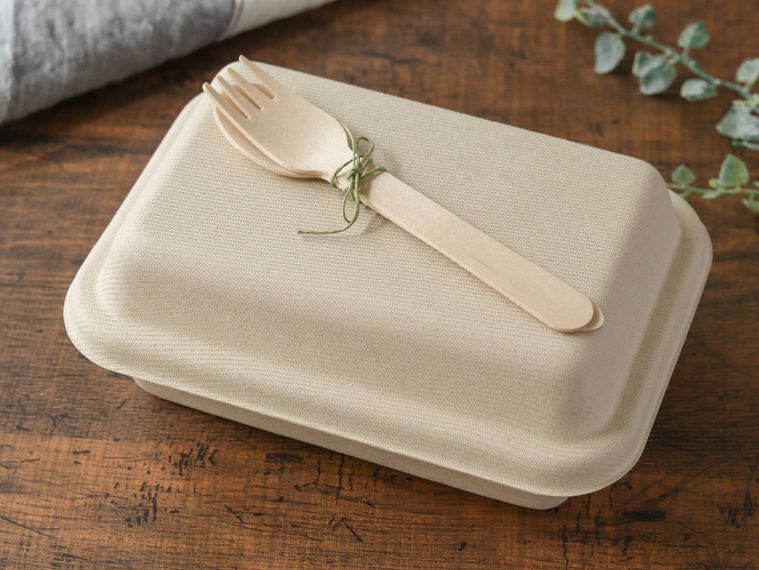 紙製のカトラリーが乗った紙製の弁当箱