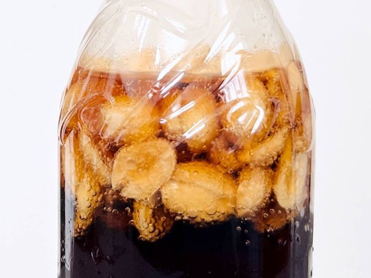 コーラのボトルにピーナッツを入れた様子