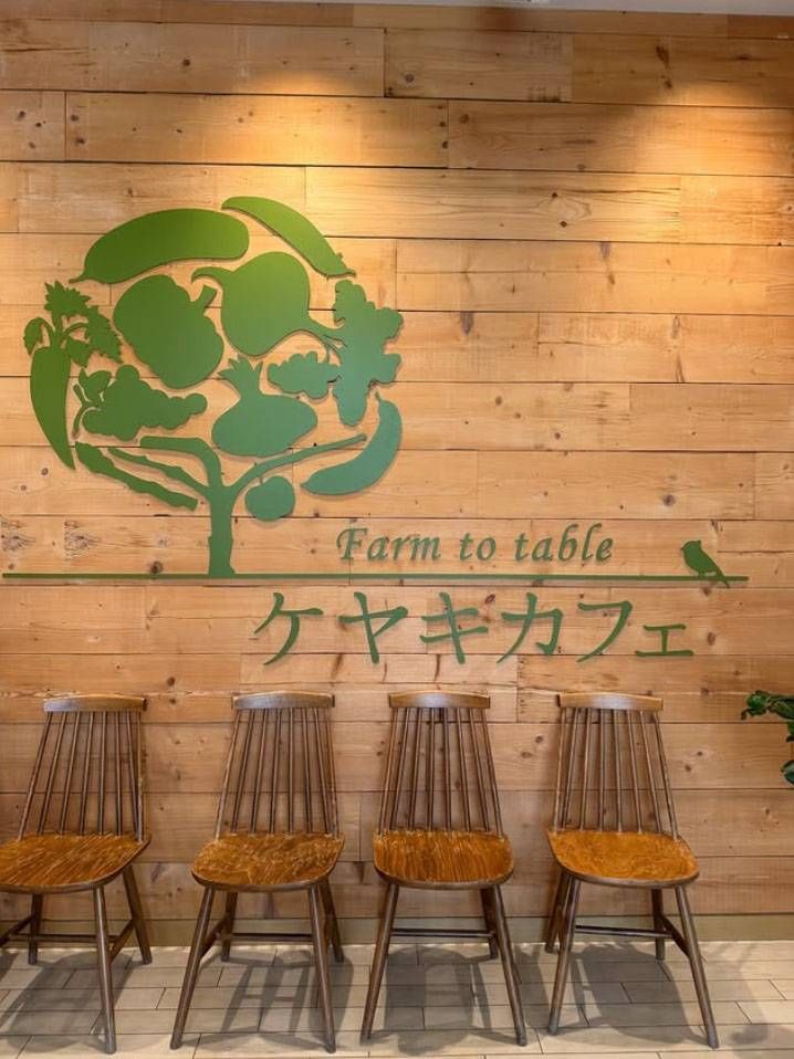 木目調の壁の前に椅子が並んだケヤキカフェの外観