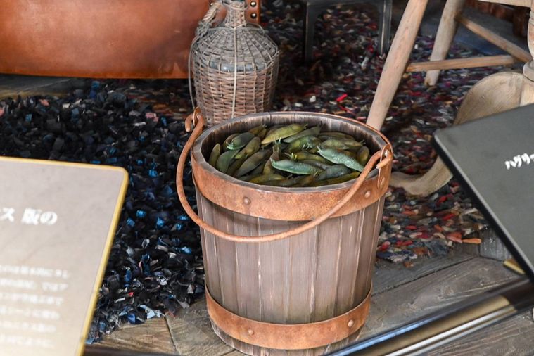 ナメクジのセット