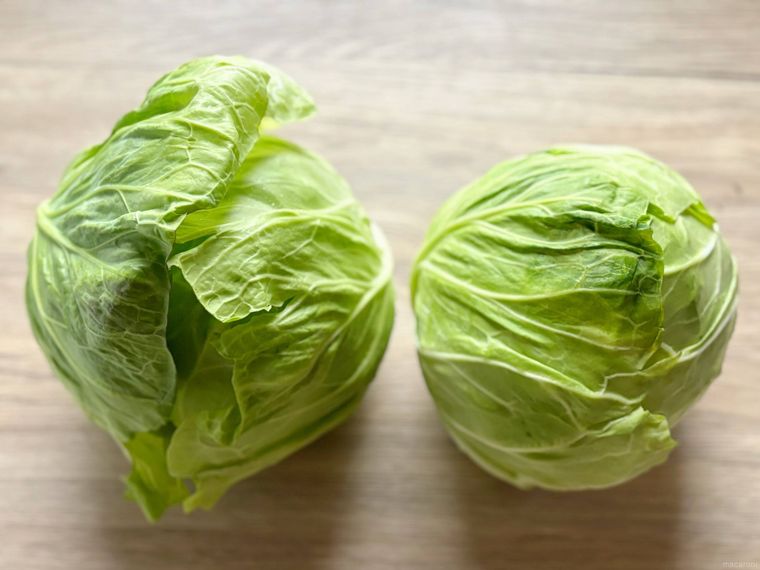 葉先がみずみずしい春キャベツとしなびた春キャベツ