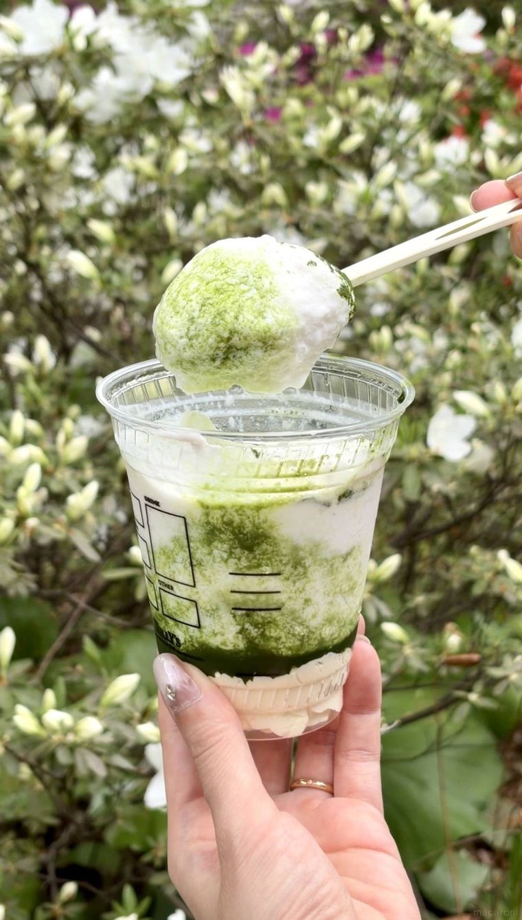 抹茶ティラミスシェイク