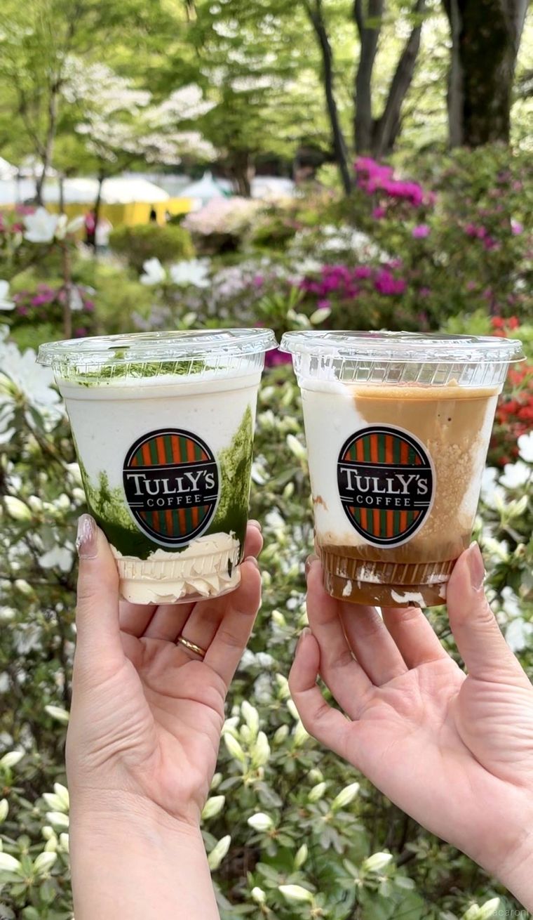 タリーズコーヒーのマスカルポーネティラミスシェイクと抹茶ティラミスシェイク