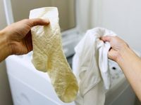 お洗濯マイスターに聞いた靴下と肌着の洗い方。ひと工夫で汚れがきれいに落ちるプロに教わる梅雨の洗濯術①