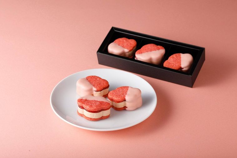 Camellia Sandwich No.02