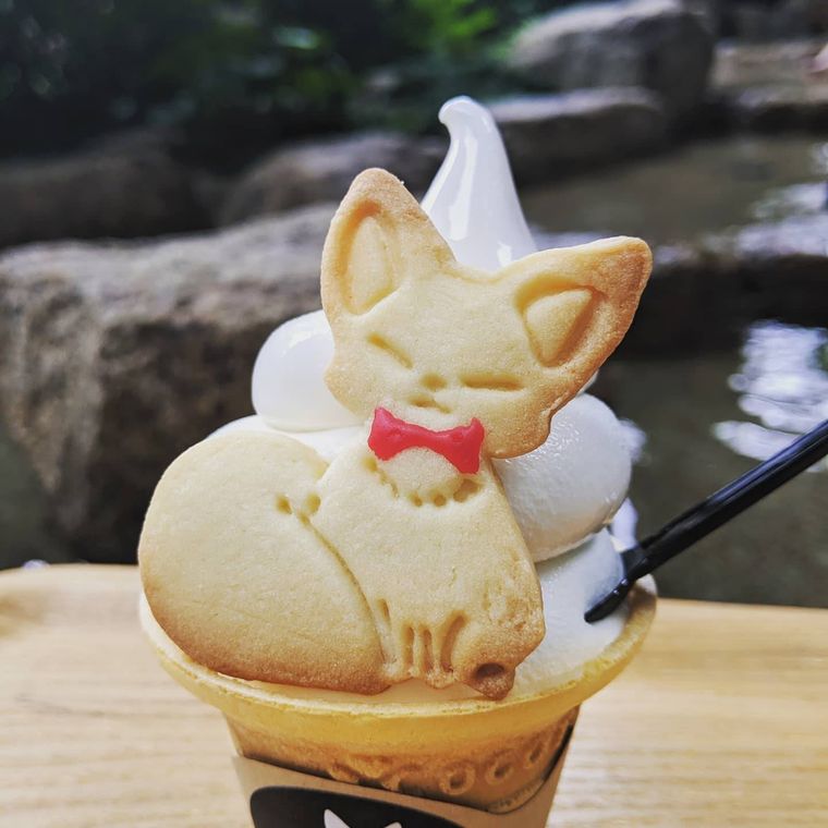 狐の足あと