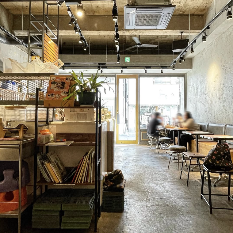 コンクリート調の店内に暖かなライトが灯る