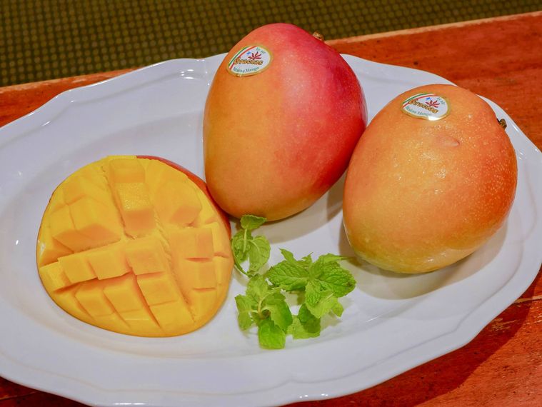 ロイヤルホストの夏フェアApple Mangoひと夏でめぐるマンゴーデザート