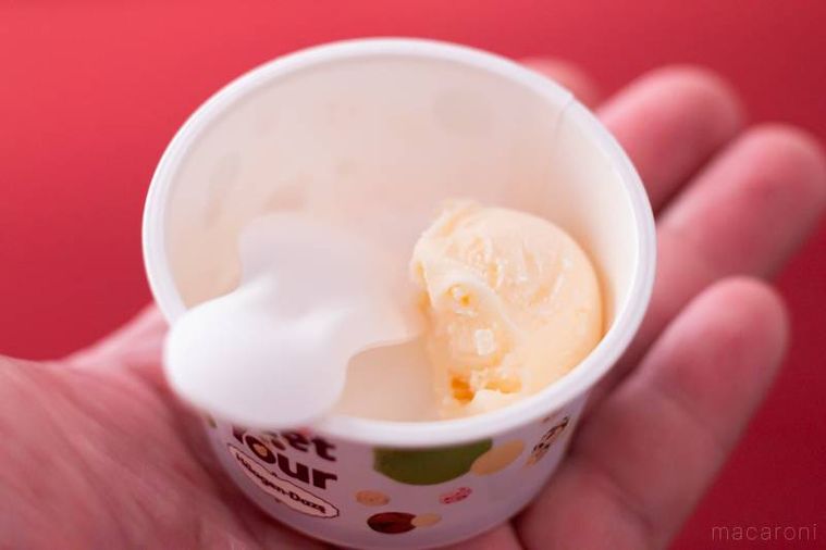 ハーゲンダッツプレーンミルクアイスクリーム