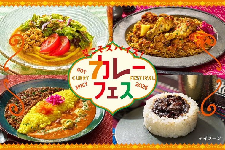 カレーフェスの概要