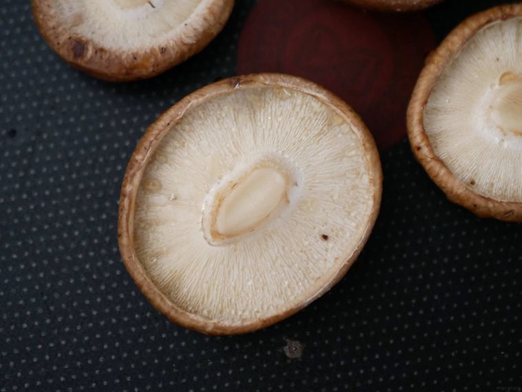 焼きしいたけのひだに水滴が溜まっている様子