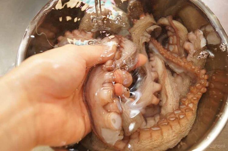 たこを水洗いする写真