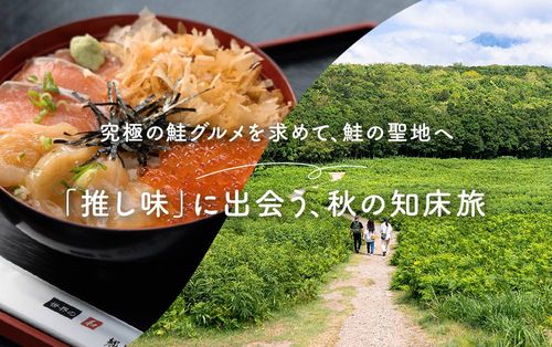 スペシャル