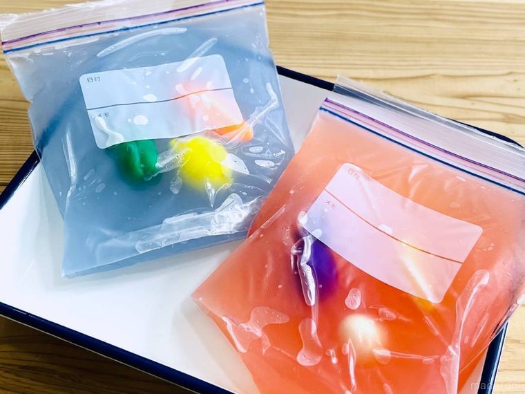 ジップ付き保存袋におもちゃと寒天液を入れて冷やし固めた様子