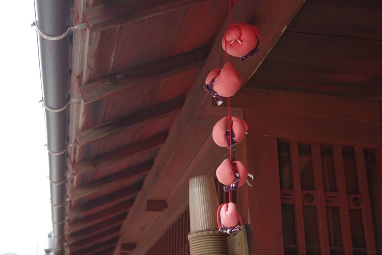 小浜