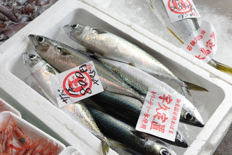 小浜の市場