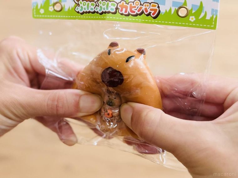 ぷにぷにカピバラを触っている様子