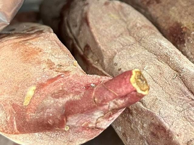 自然解凍中の冷凍焼き芋