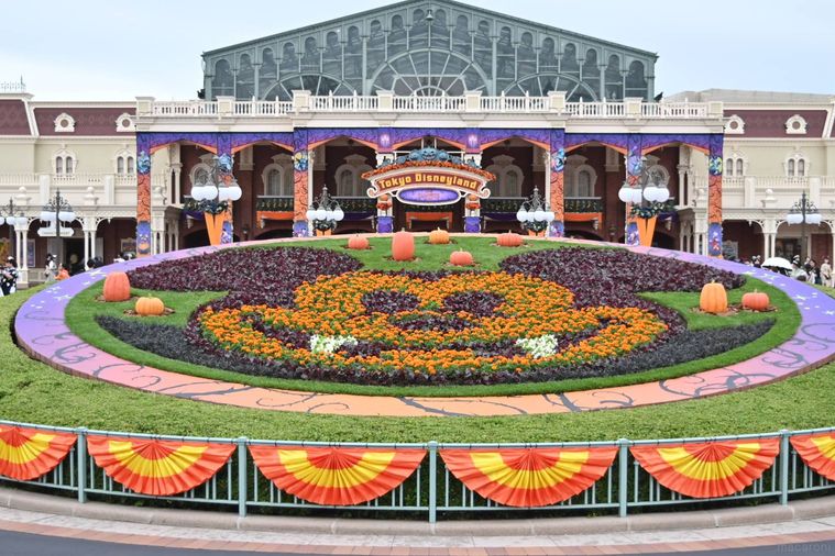 ハロウィーン仕様の花壇