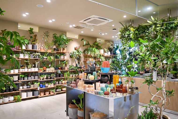 店の内観