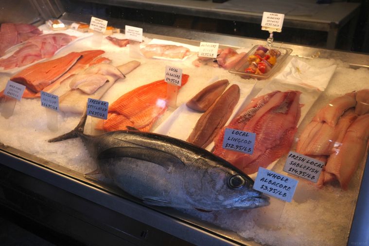 魚が陳列している